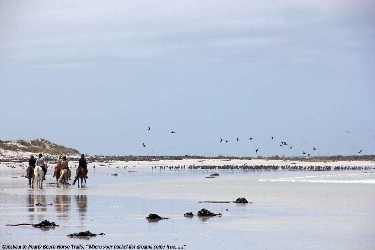 Ons C-Huis - Gansbaai Seafront Accommodation, Back-Up Power Экстерьер фото